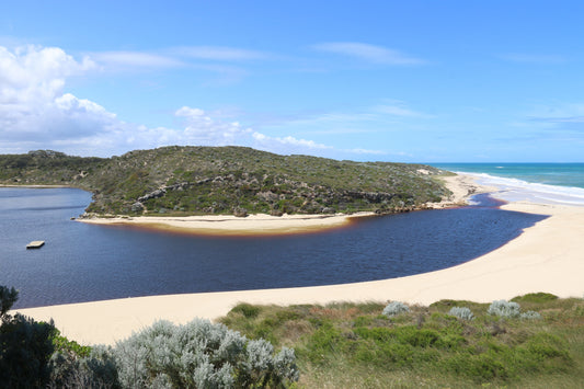 Drive with your 4WD vehicle to Moore River.