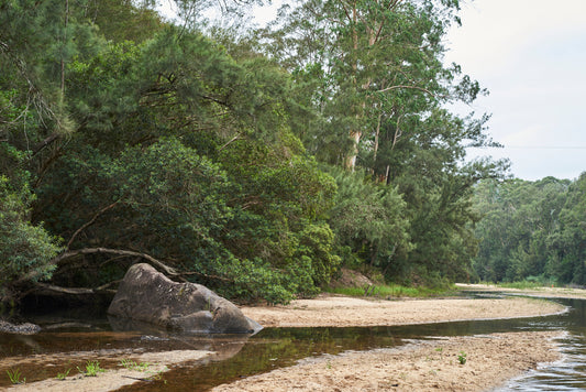 Go to a 4x4 drive in a low water level Colo River, midway of the bush.