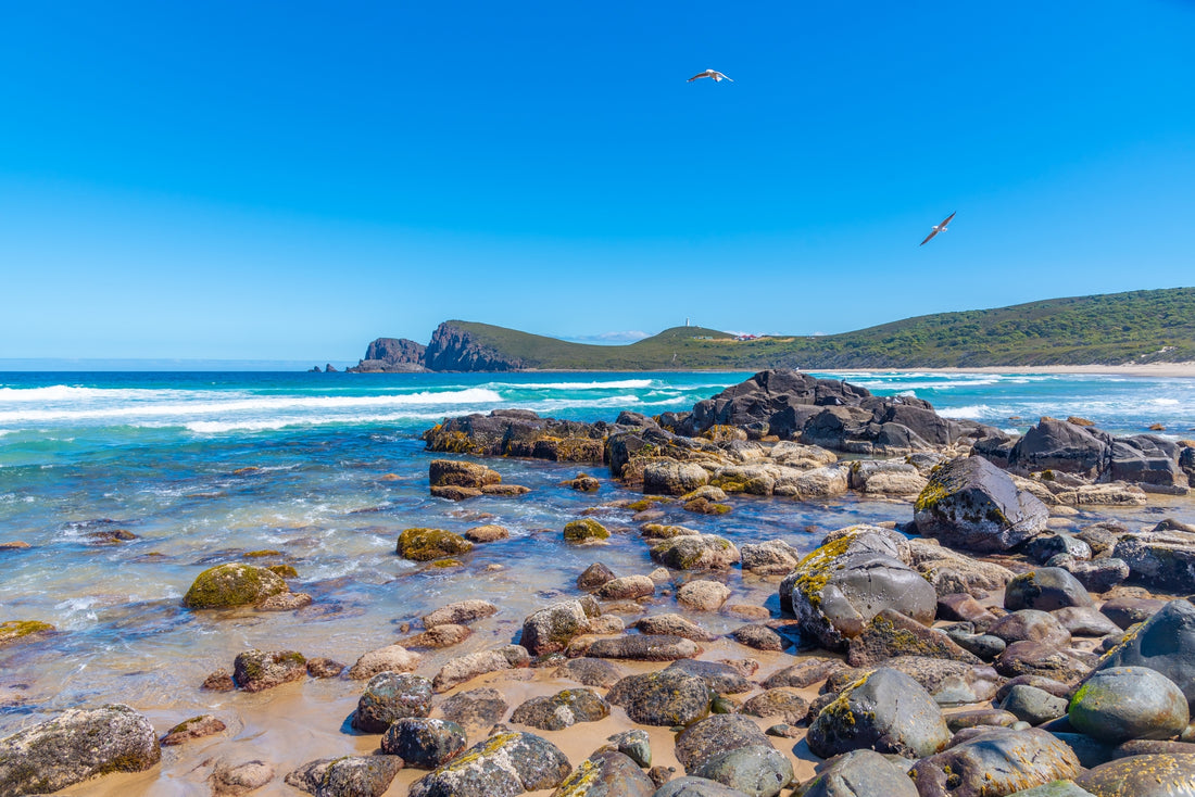 Take a walk on the rocky Lighthouse bay at Bruny Island in Tasmania in a blue sky with two birds flying.